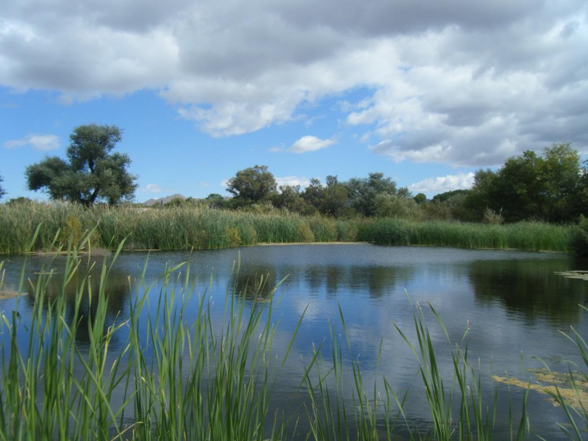 Jacumba East County Magazine