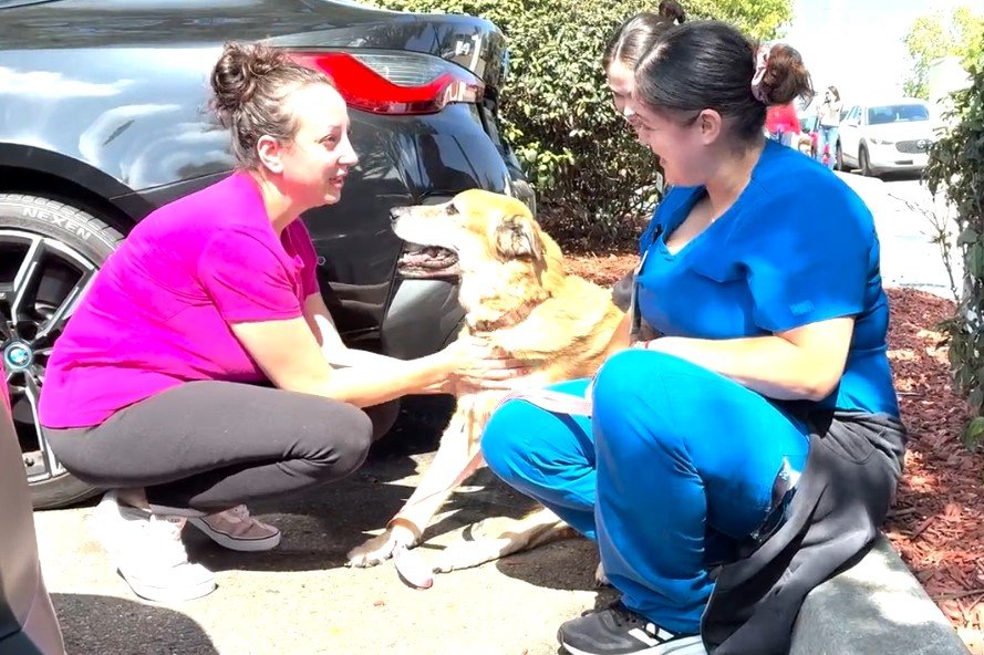 Reunions part of massive rescue operation of 700+ animals at Villa Chardonnay