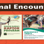 Animal Adventures for the Family